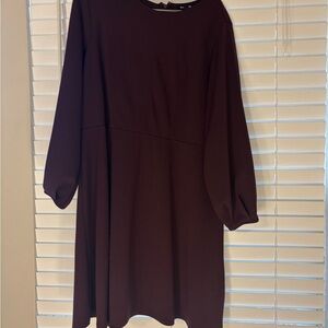 Express Long Sleeve Dress in Rich Burgundy